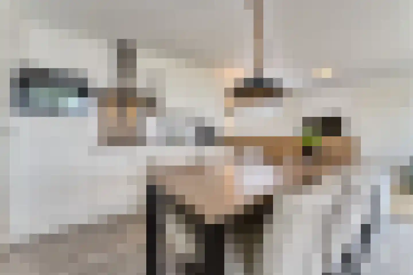 Zeedijk 24 650 Nieuwvliet thumbnail 9