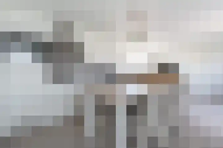 Zeedijk 24 652 Nieuwvliet thumbnail 11