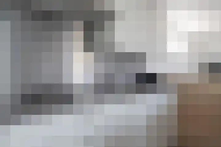 Zeedijk 24 652 Nieuwvliet thumbnail 12