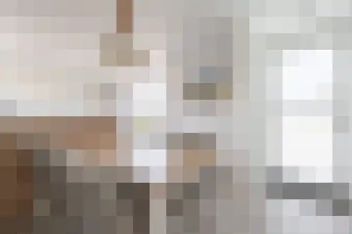 Zeedijk 24 652 Nieuwvliet thumbnail 13