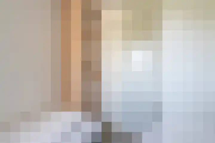 Zeedijk 24 652 Nieuwvliet thumbnail 16