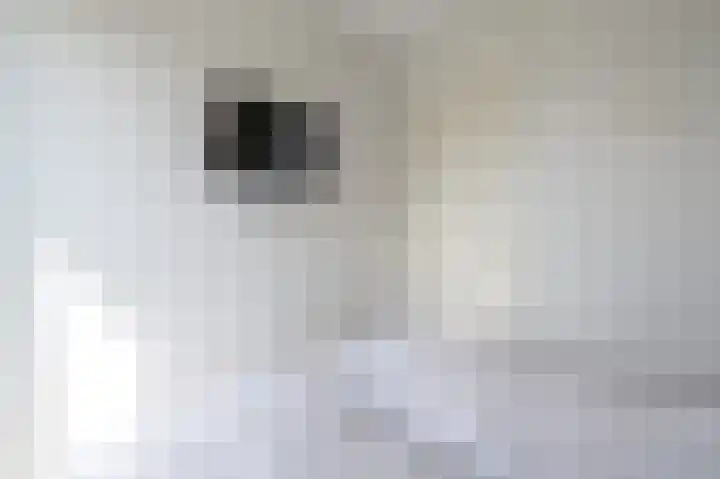 Zeedijk 24 652 Nieuwvliet thumbnail 19