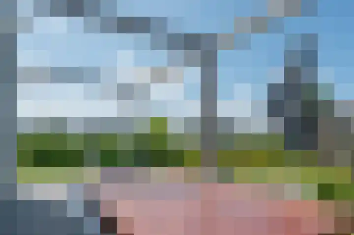 Zeedijk 24 652 Nieuwvliet thumbnail 7