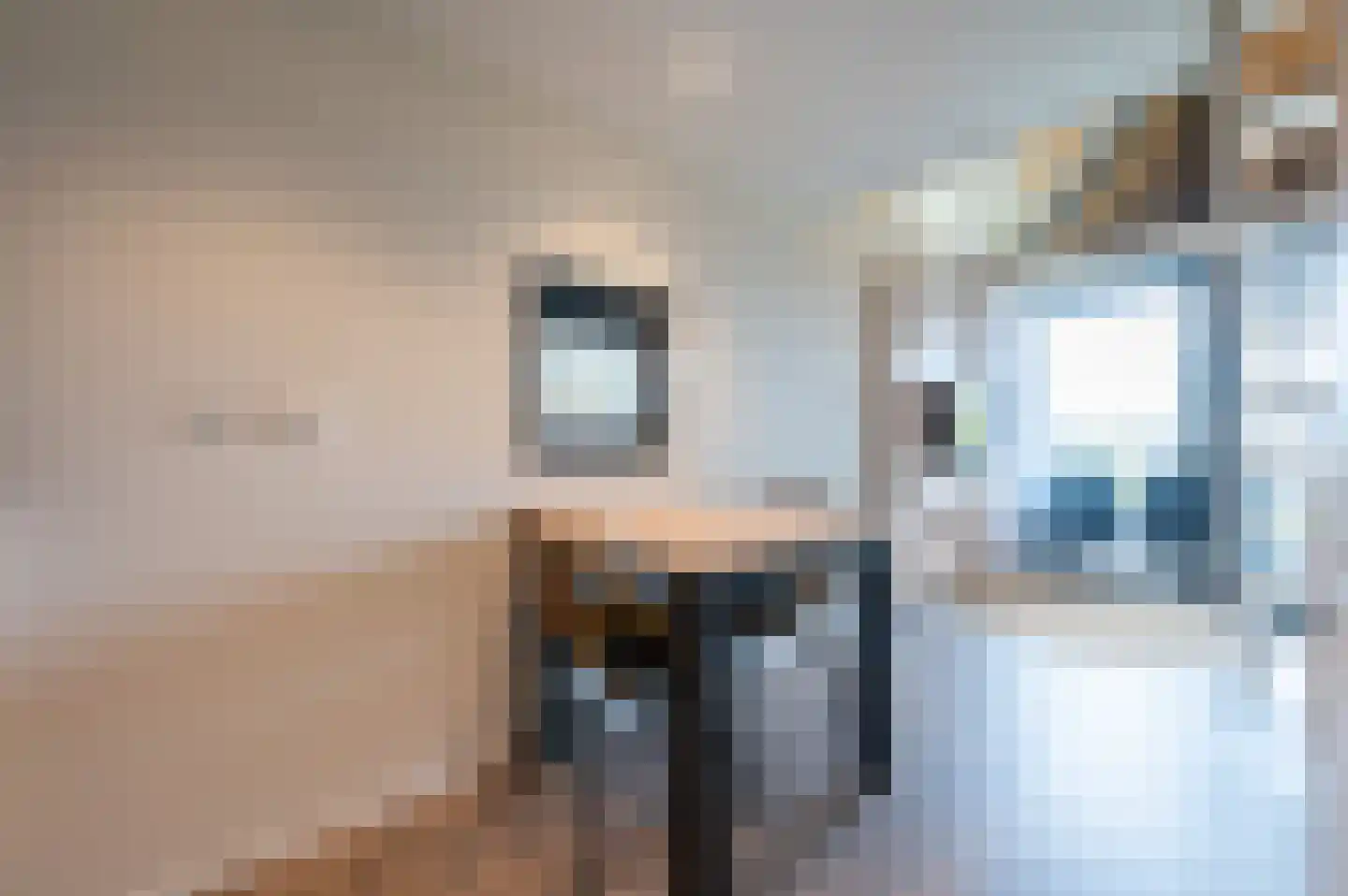 Zeedijk 24 924 Nieuwvliet thumbnail 12