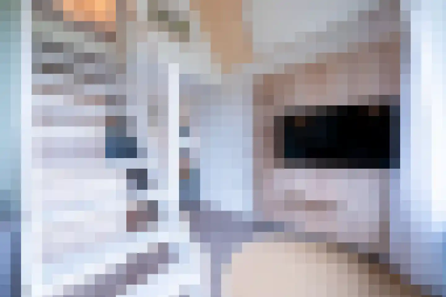 Zeedijk 24 924 Nieuwvliet thumbnail 13
