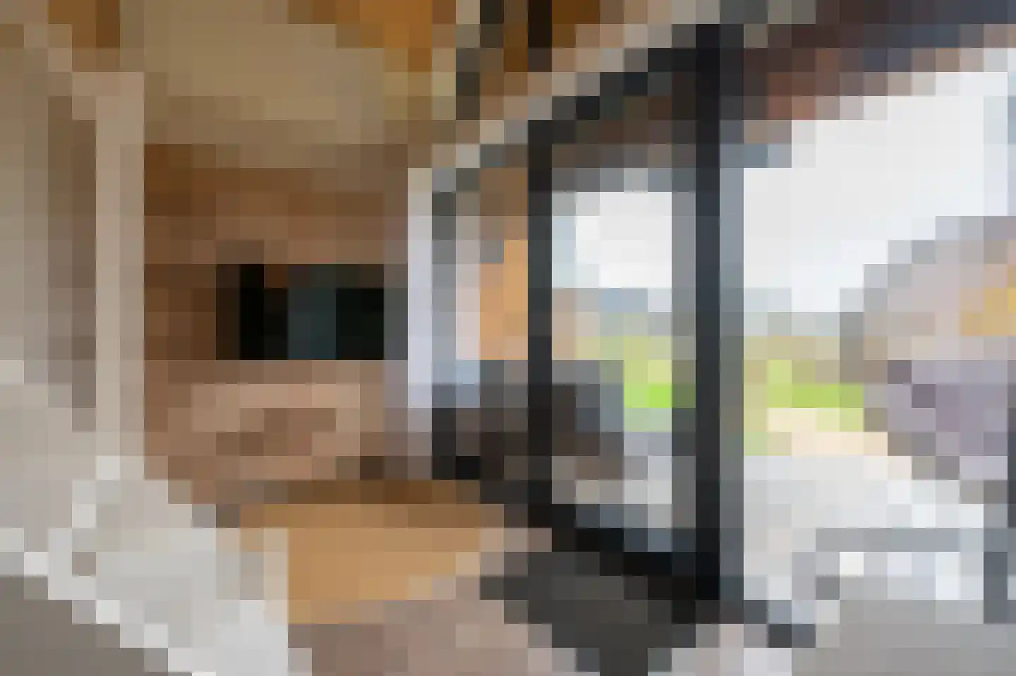 Zeedijk 24 924 Nieuwvliet thumbnail 6