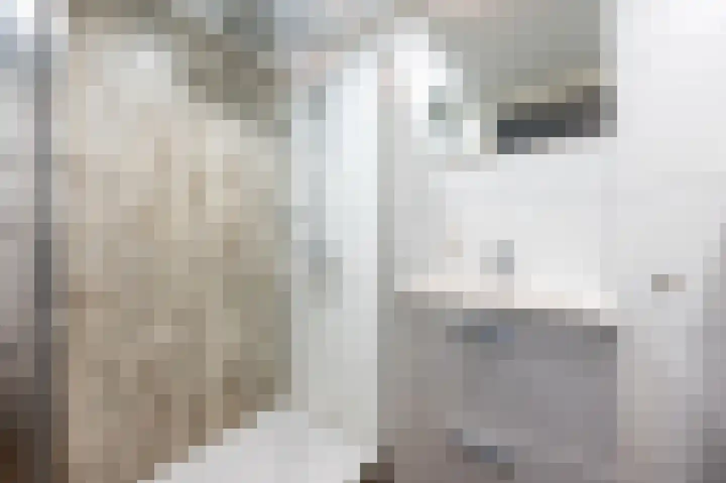 Zeedijk 24 924 Nieuwvliet thumbnail 8