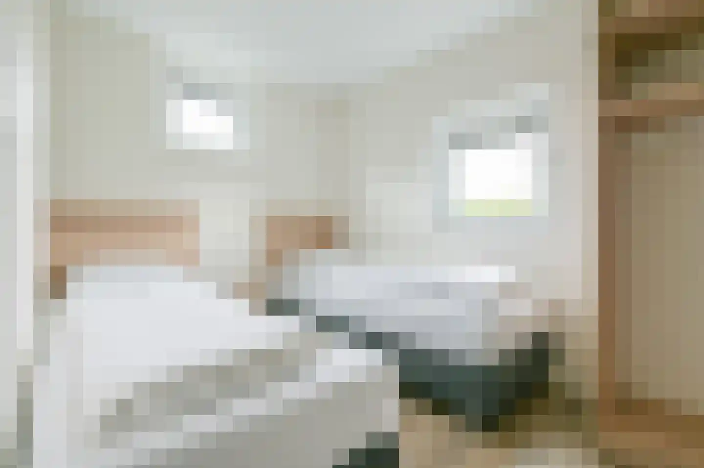 Zeedijk 24 942 Nieuwvliet thumbnail 22