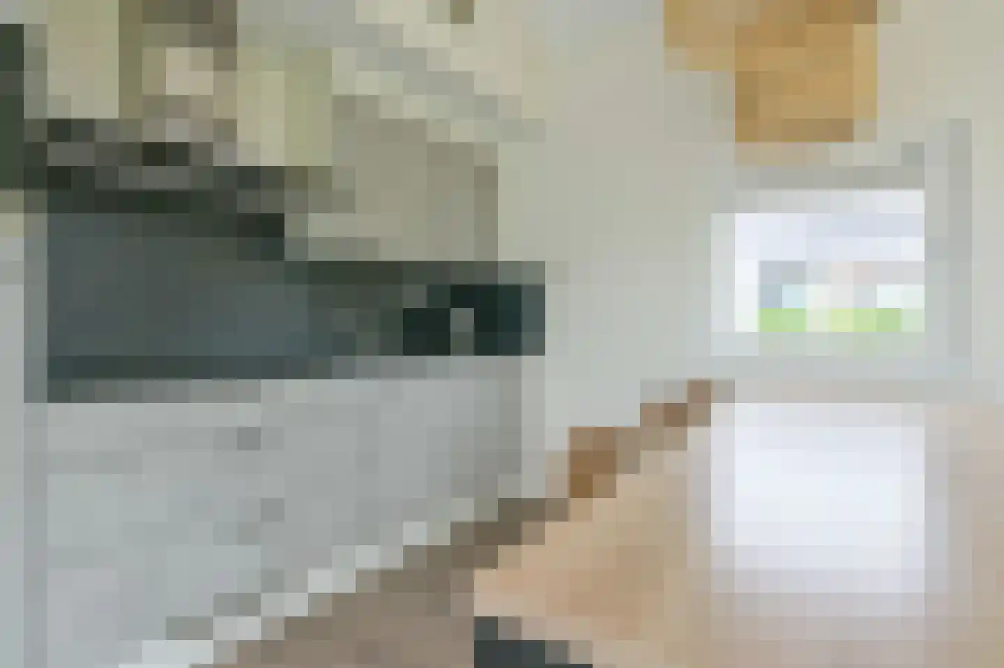 Zeedijk 24 942 Nieuwvliet thumbnail 5