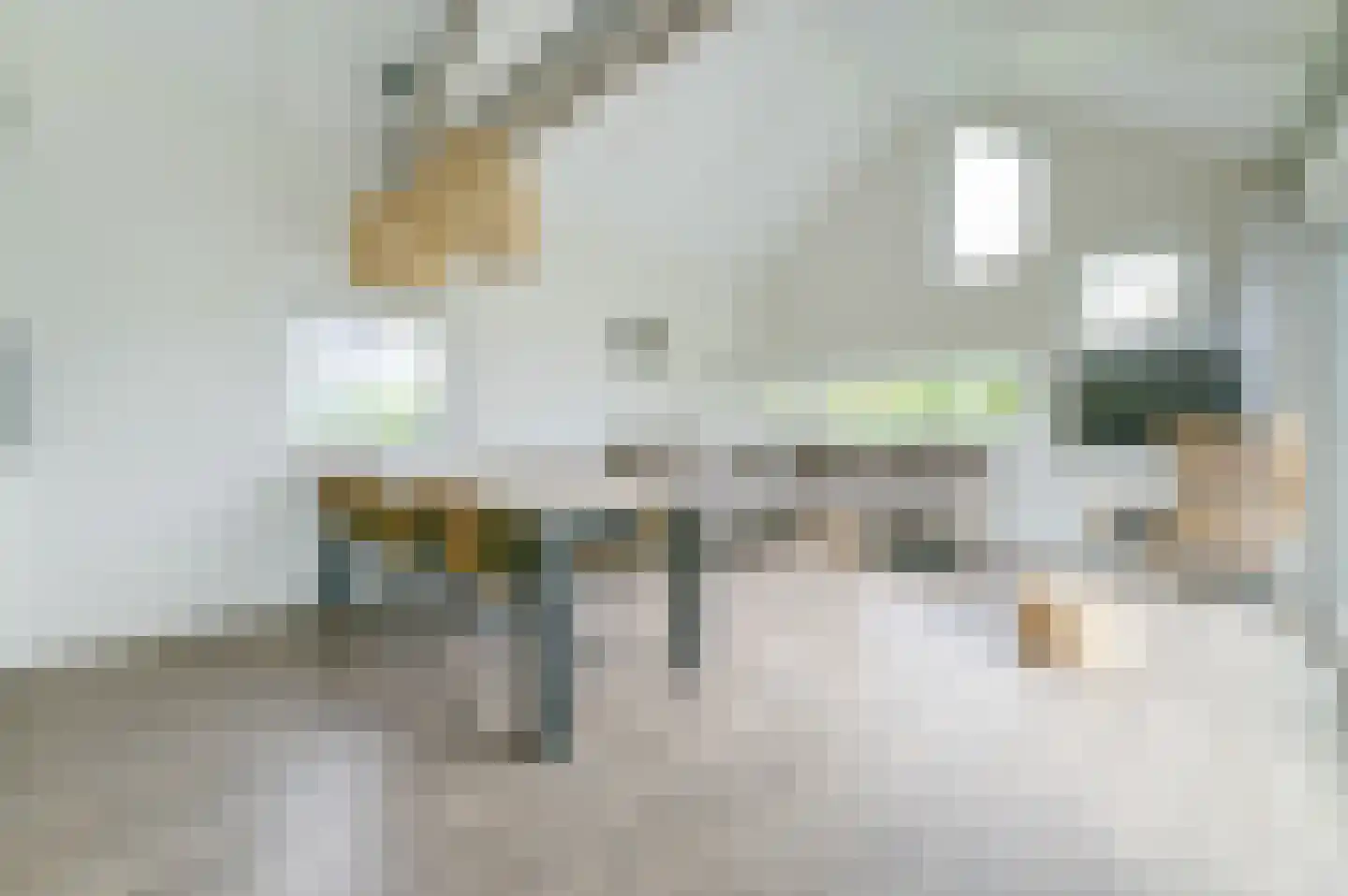 Zeedijk 24 942 Nieuwvliet thumbnail 8