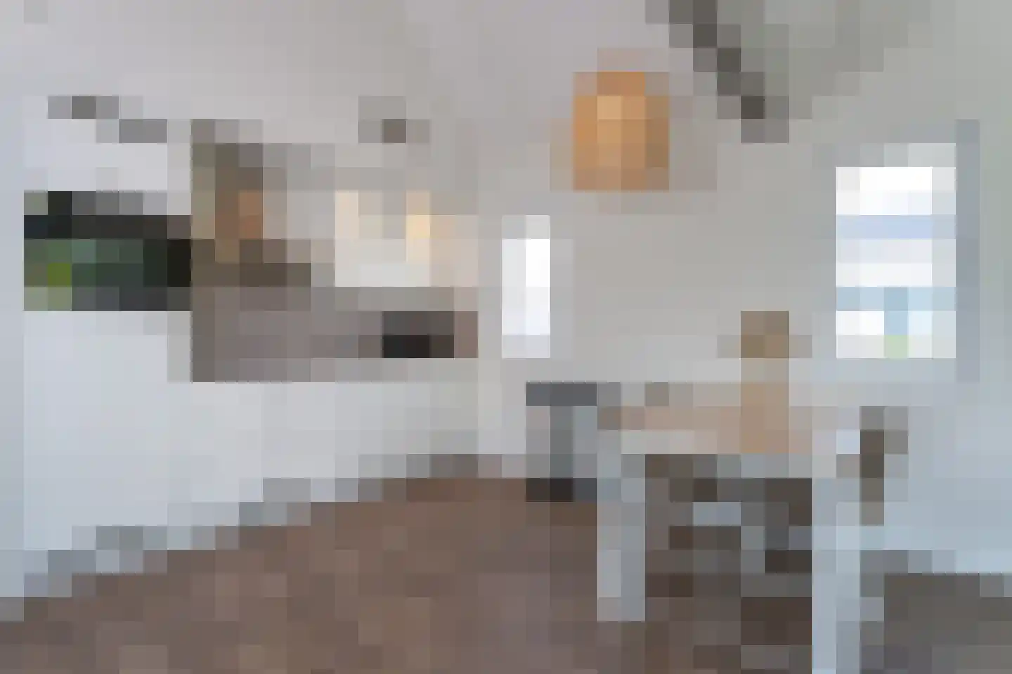 Zeedijk 24 943 Nieuwvliet thumbnail 10