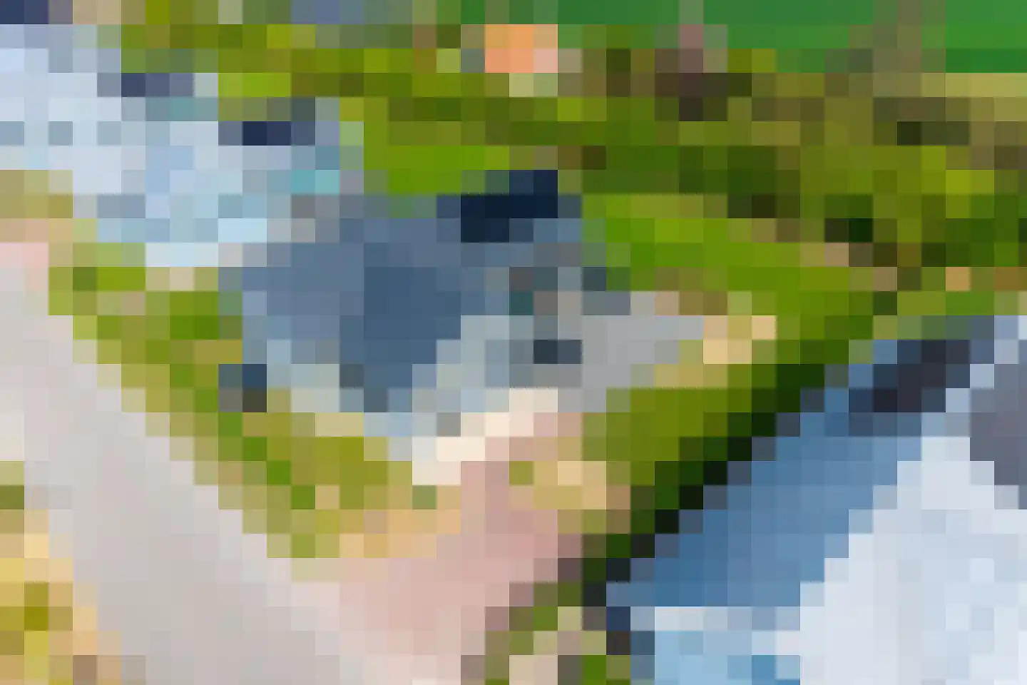 Zeedijk 24 943 Nieuwvliet thumbnail 16