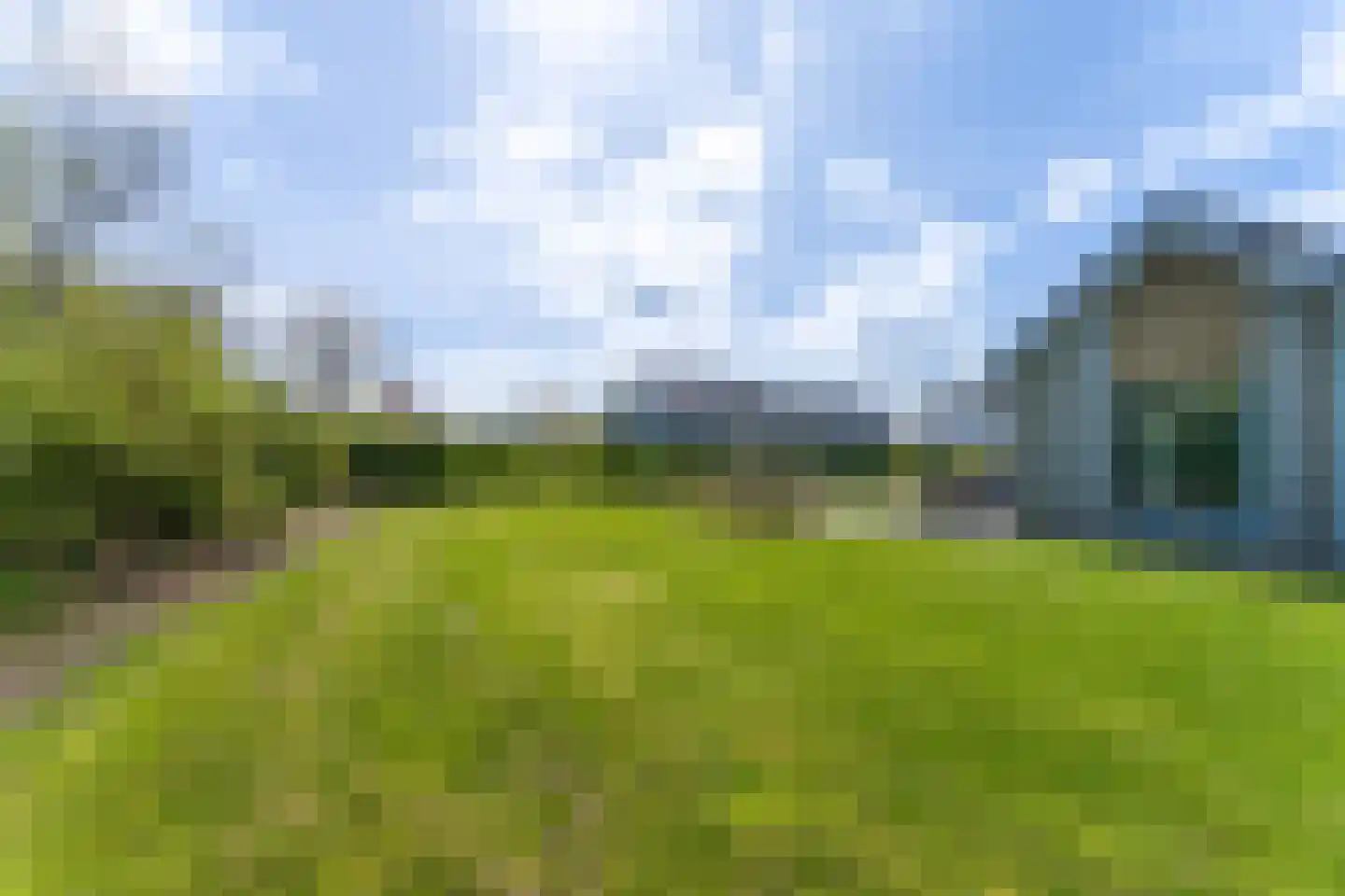 Zeedijk 24 943 Nieuwvliet thumbnail 20