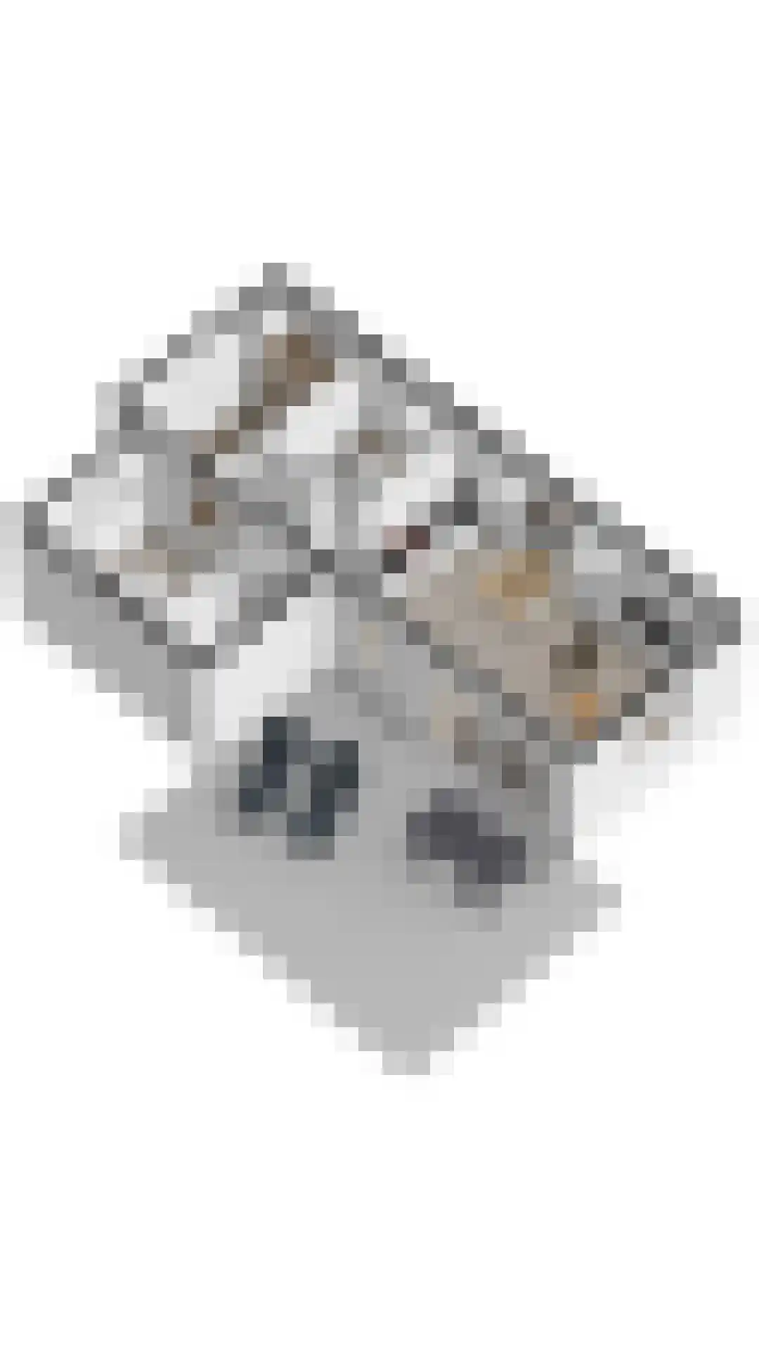 Zeedijk 24 943 Nieuwvliet thumbnail 23