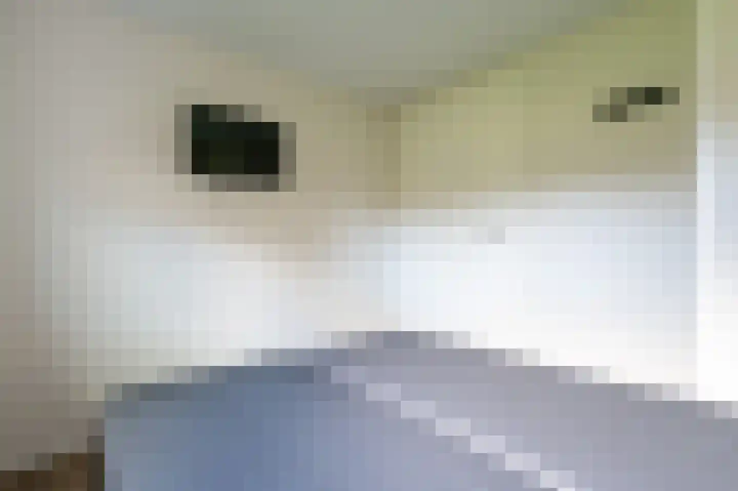 Zeedijk 24 949 Nieuwvliet thumbnail 19
