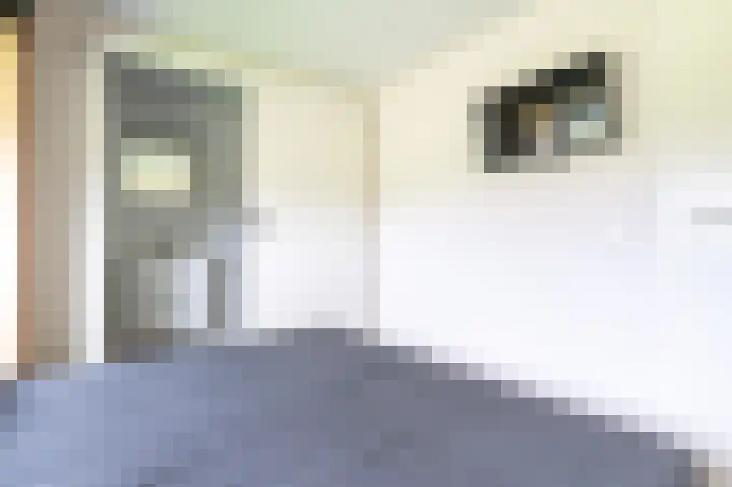 Zeedijk 24 949 Nieuwvliet thumbnail 8