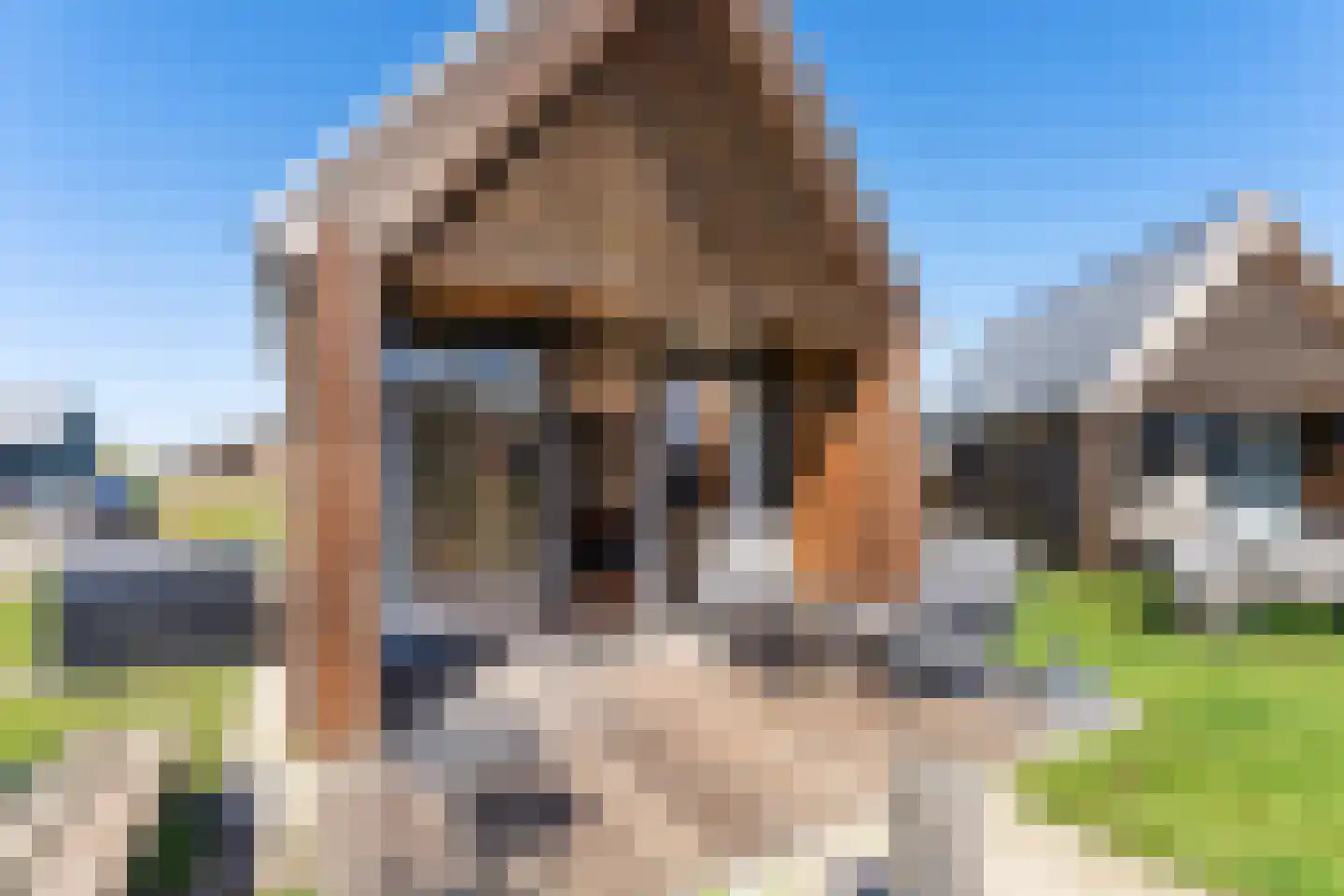 Zeedijk 24 960 Nieuwvliet