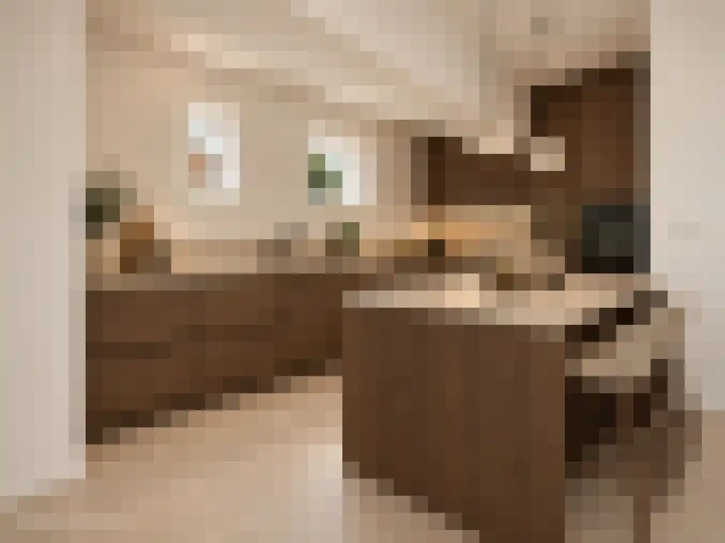 Zeedijk 24 c Stad aan 't Haringvliet thumbnail 13
