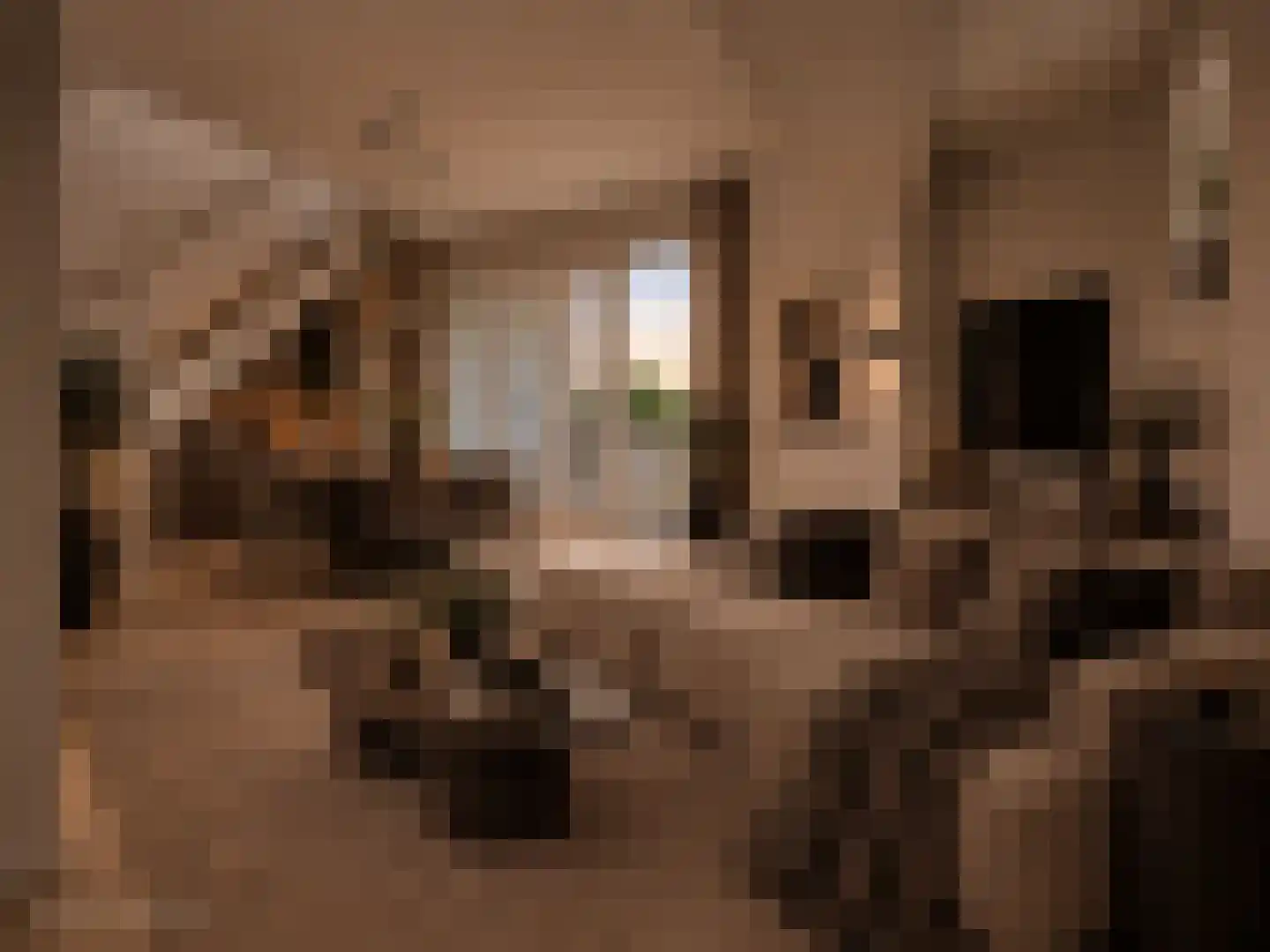 Zeedijk 24 c Stad aan 't Haringvliet thumbnail 17