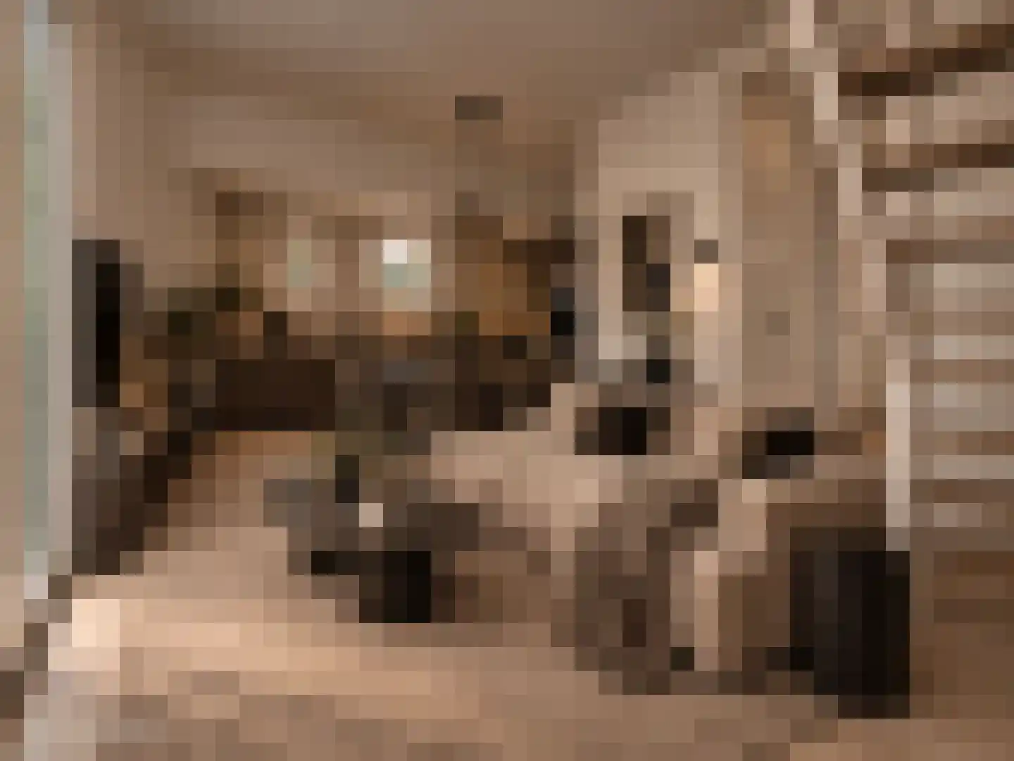 Zeedijk 24 c Stad aan 't Haringvliet thumbnail 4