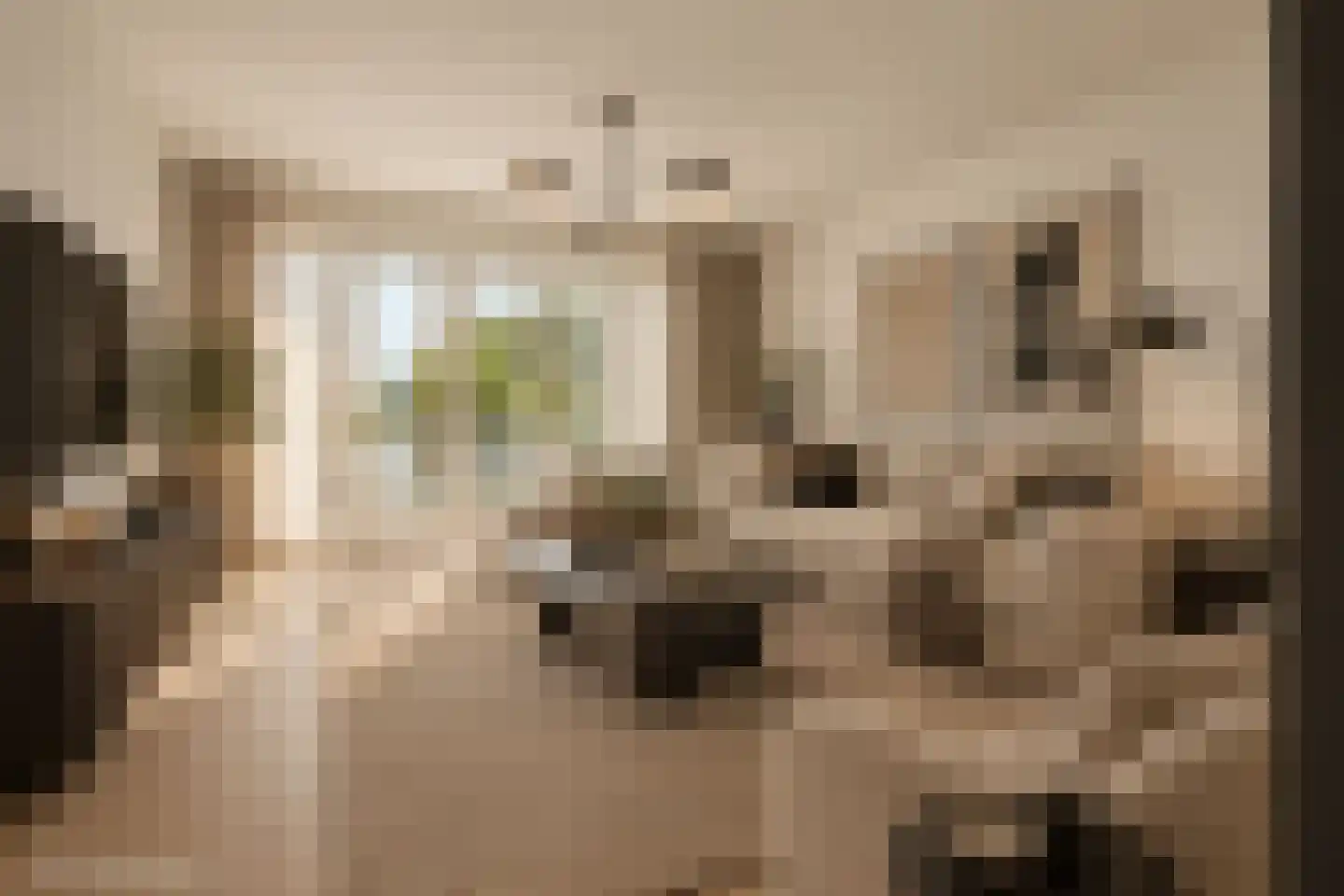 Zeedijk 24 e Stad aan 't Haringvliet foto 2