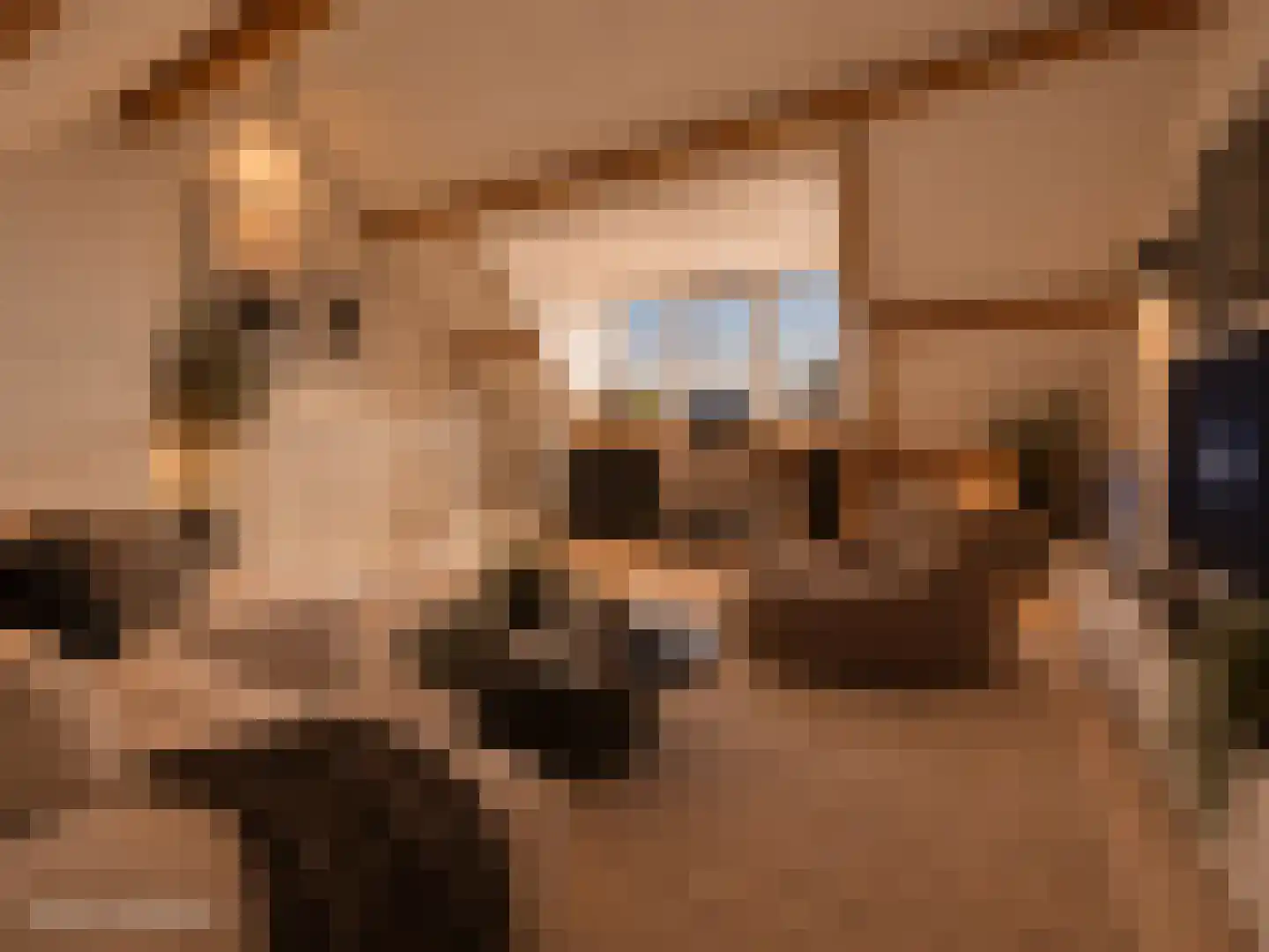 Zeedijk 24 e Stad aan 't Haringvliet thumbnail 26