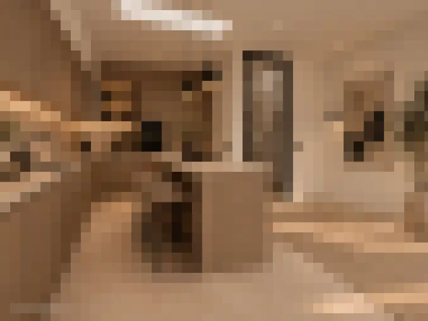 Zeedijk 24 e Stad aan 't Haringvliet thumbnail 4