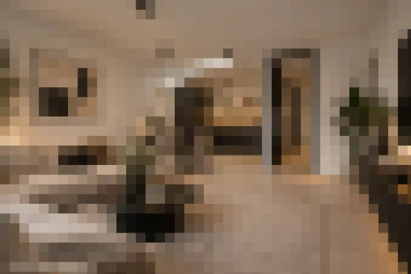 Zeedijk 24 e Stad aan 't Haringvliet thumbnail 6
