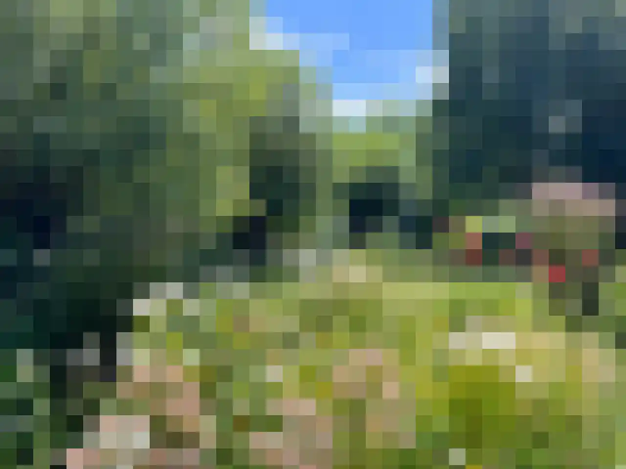 Zeedijk 3 Gaast thumbnail 10