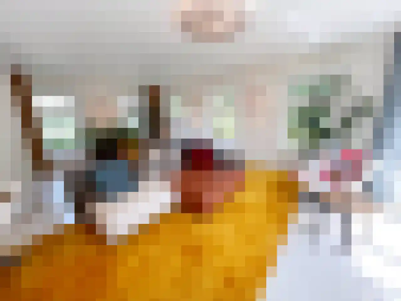 Zeedijk 3 Gaast thumbnail 13