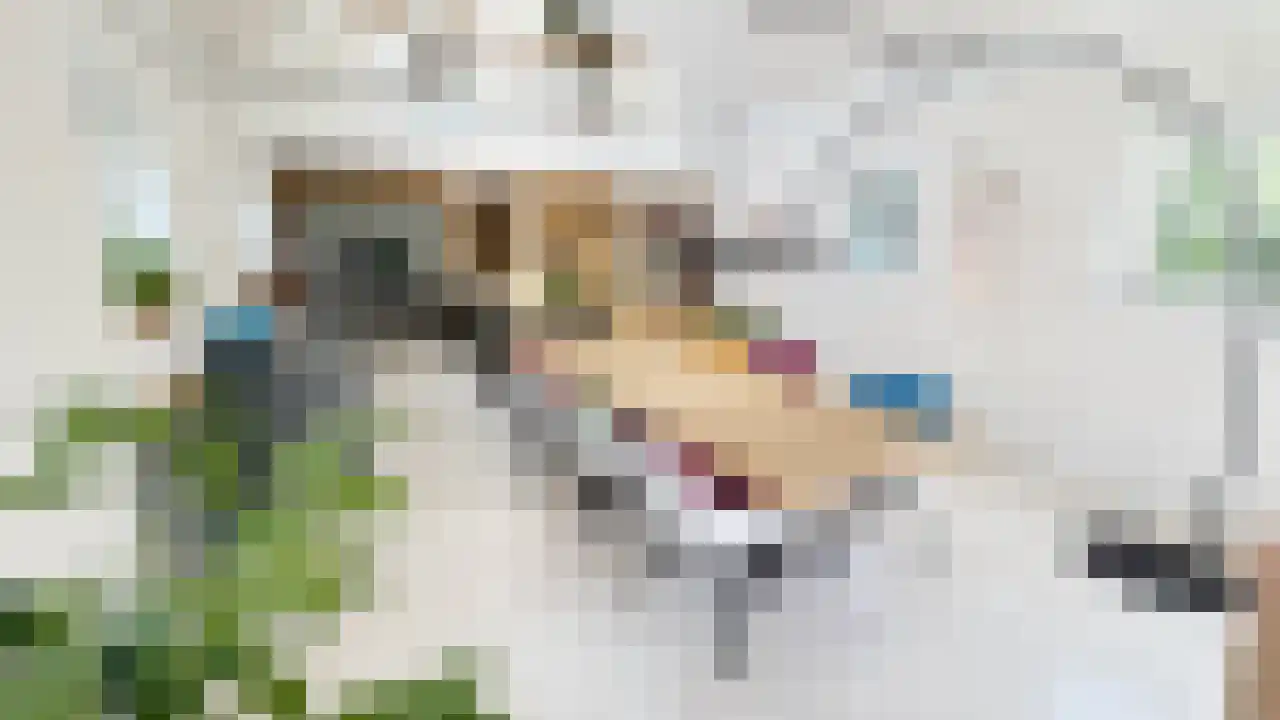 Zeedijk 3 Gaast thumbnail 19