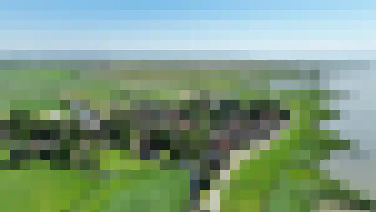 Zeedijk 3 Gaast foto 2