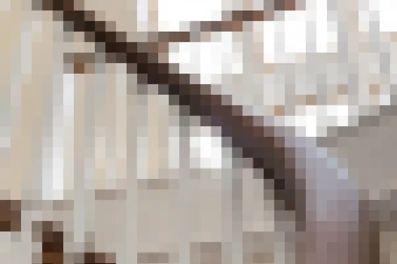 Zeedijk 3 Gaast thumbnail 24