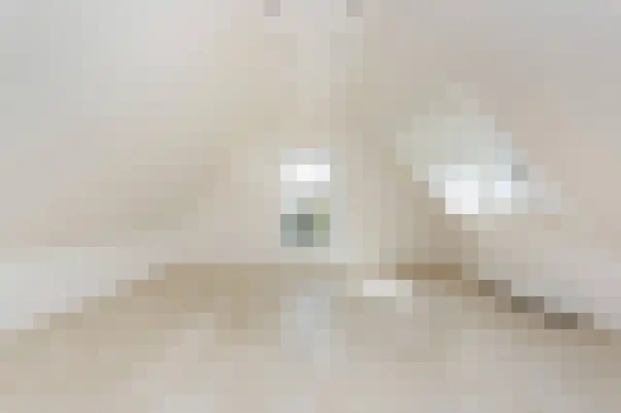 Zeedijk 3 Gaast thumbnail 28