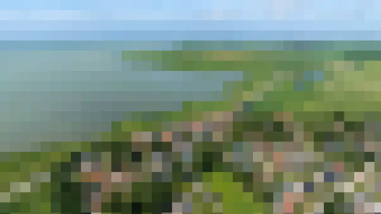 Zeedijk 3 Gaast thumbnail 36