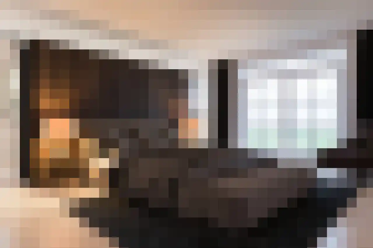 Zeedijk 3 Gaast thumbnail 6