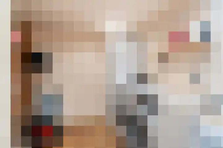 Zeedijk 3 Marrum thumbnail 17
