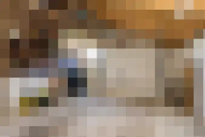 Zeedijk 3 Marrum thumbnail 27