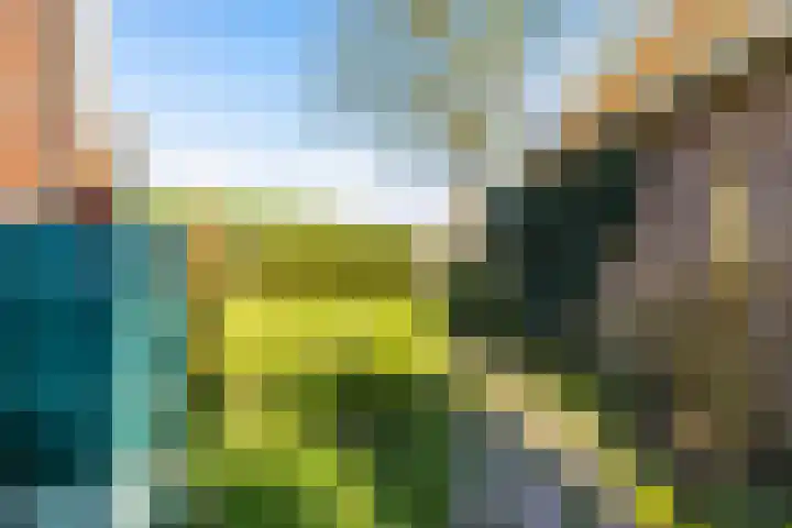Zeedijk 3 Marrum thumbnail 35