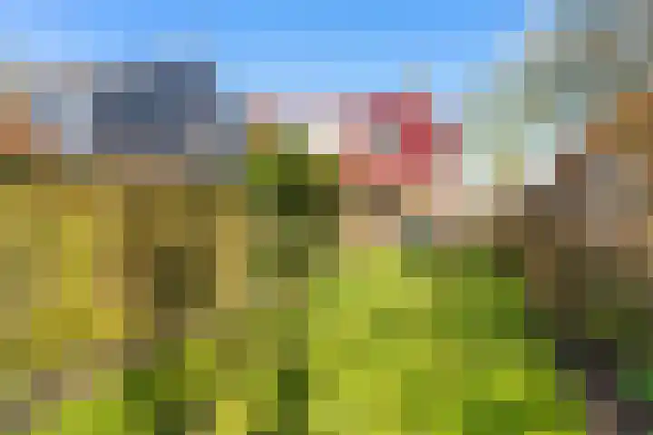 Zeedijk 3 Marrum thumbnail 36