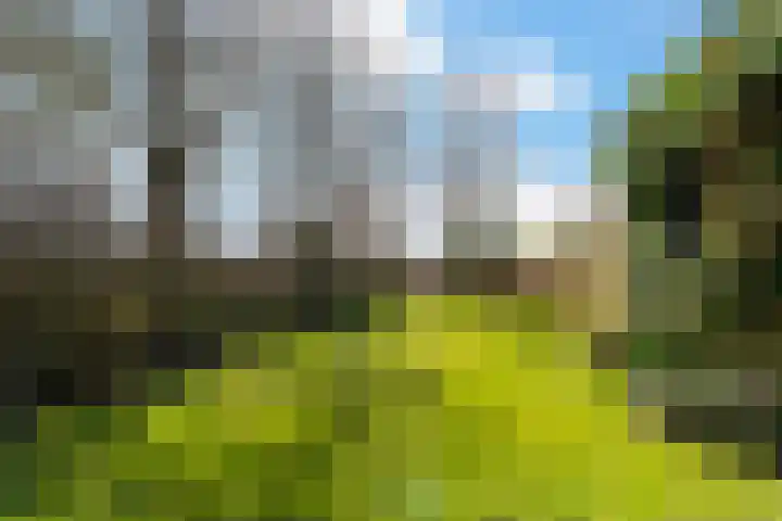Zeedijk 3 Marrum thumbnail 37