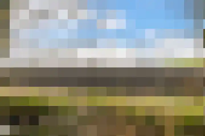 Zeedijk 3 Marrum thumbnail 38