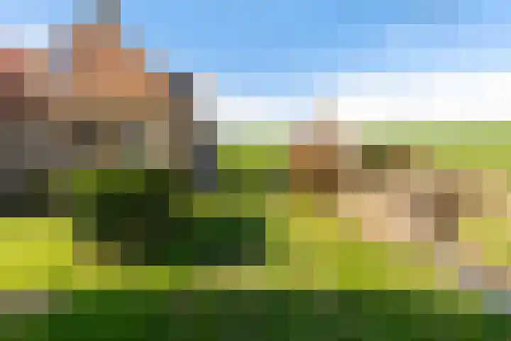 Zeedijk 3 Marrum thumbnail 39
