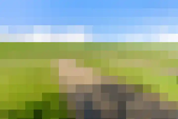 Zeedijk 3 Marrum thumbnail 44