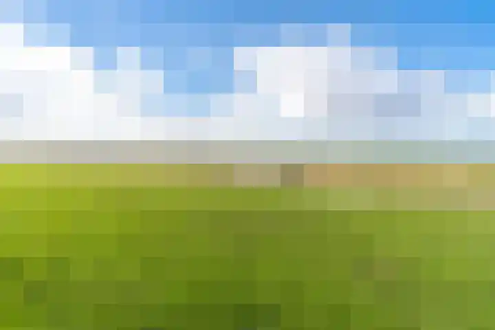 Zeedijk 3 Marrum thumbnail 46