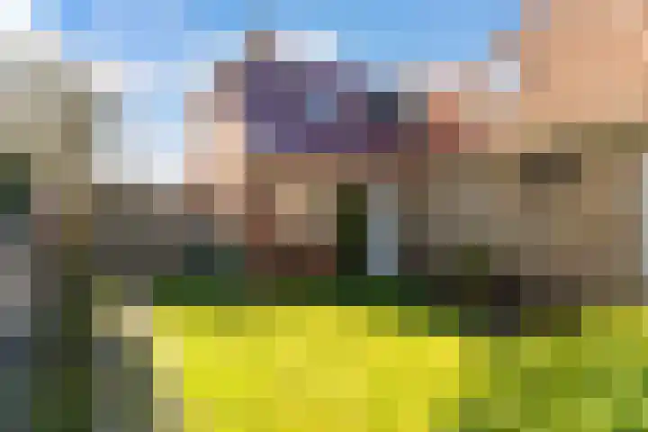 Zeedijk 3 Marrum thumbnail 5