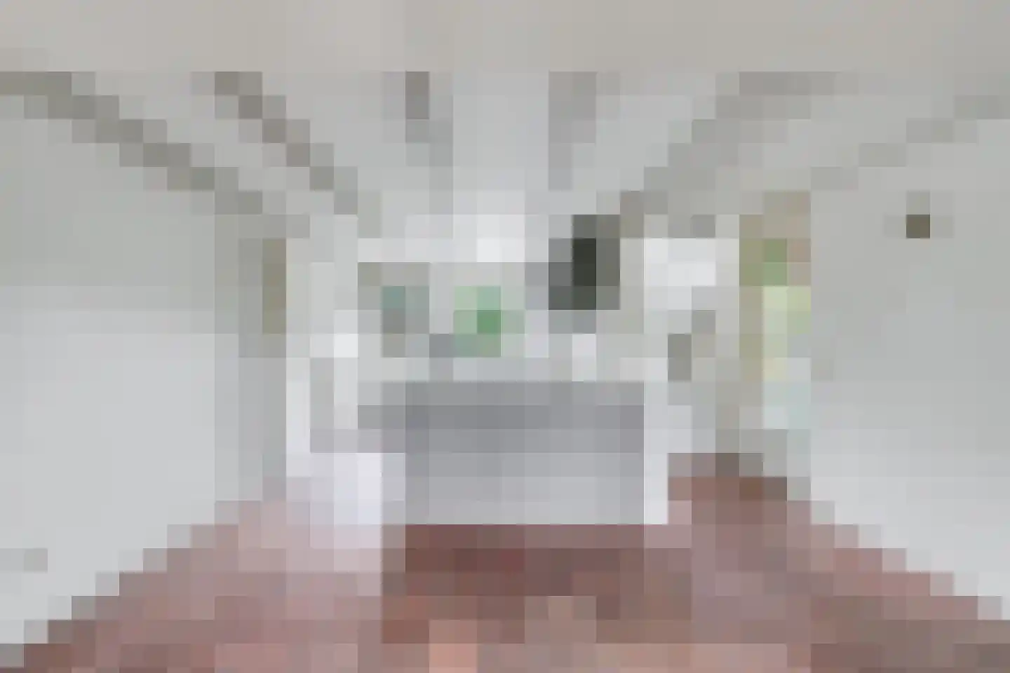 Zeedijk 3 Retranchement thumbnail 10