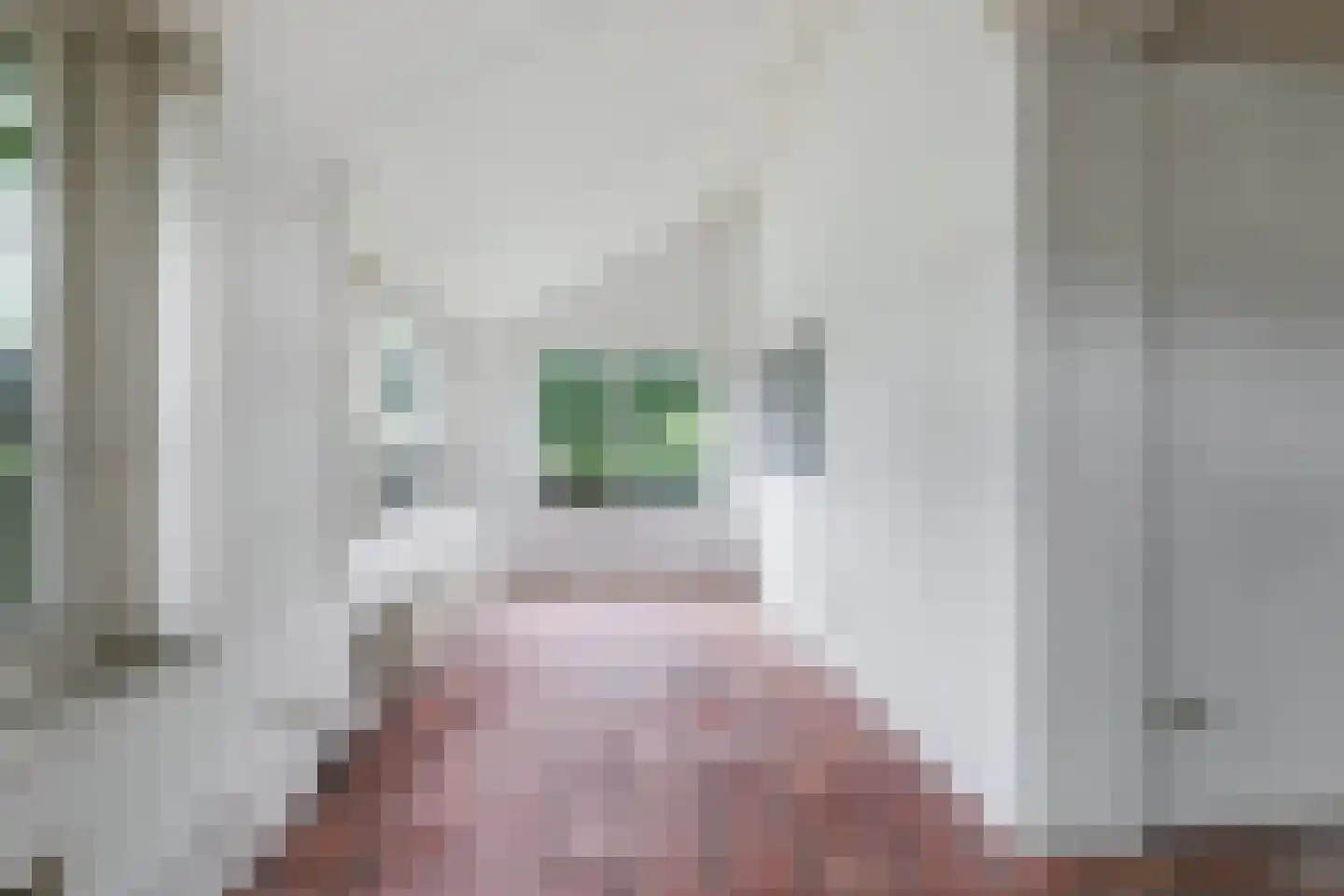 Zeedijk 3 Retranchement thumbnail 11