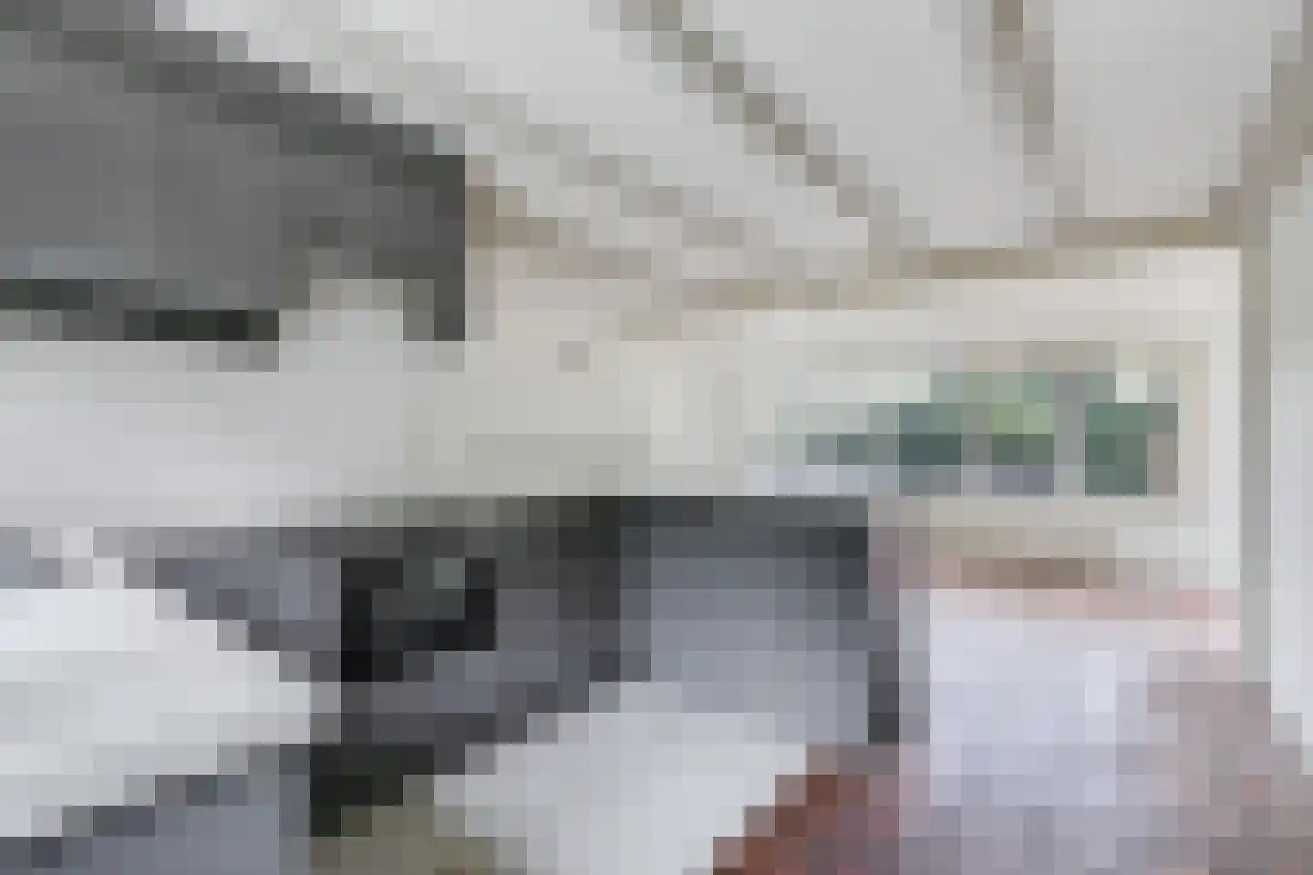 Zeedijk 3 Retranchement thumbnail 12