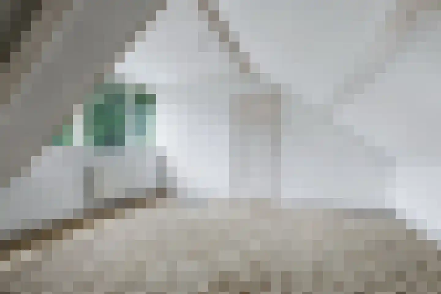 Zeedijk 3 Retranchement thumbnail 16
